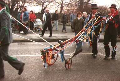 Hinckley Bullockers pulling plough